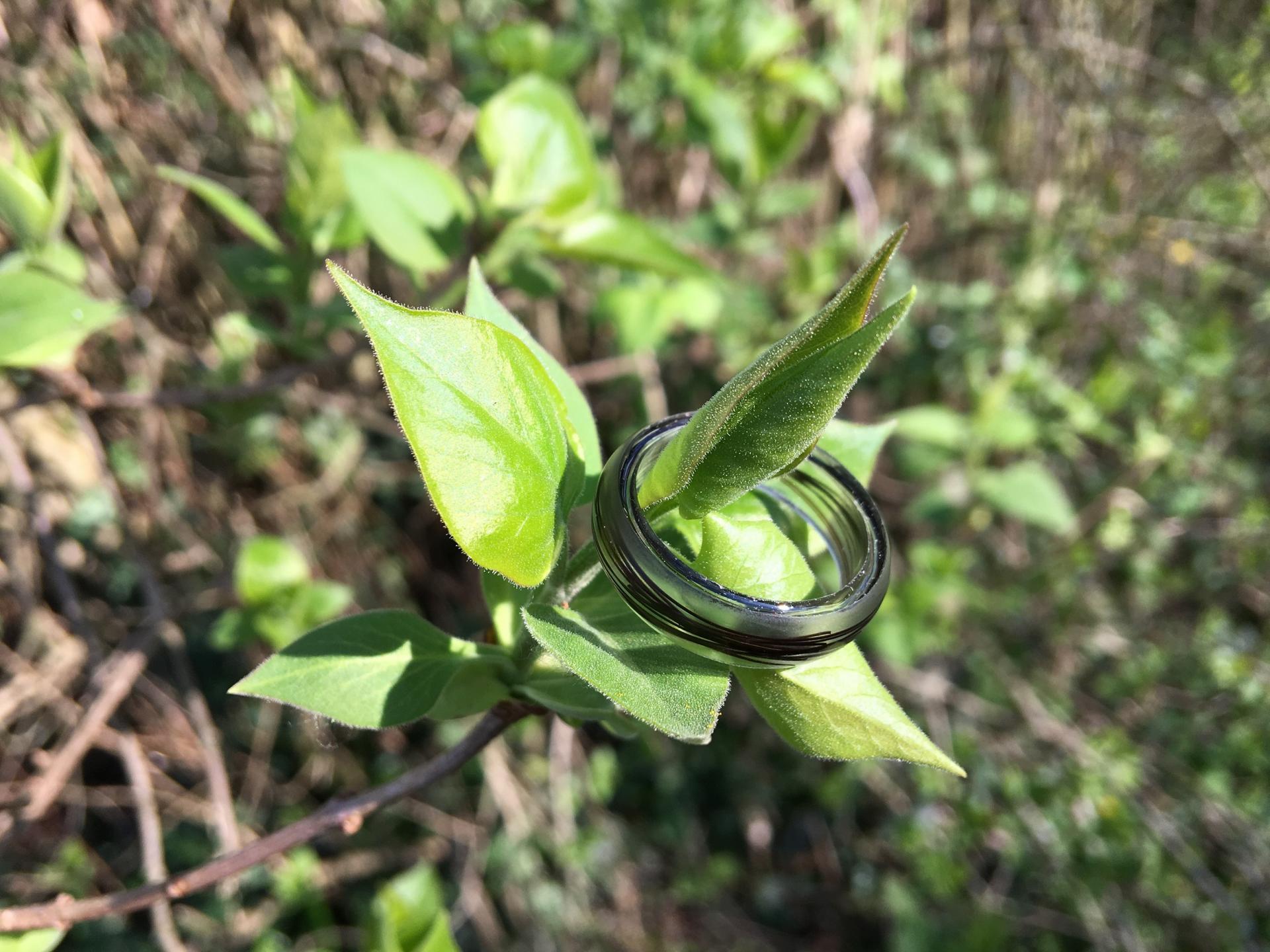 Creation crins bijoux cheval bague resine immortel animaux solide transparent
